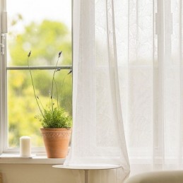 Cortinas Transparentes...